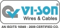 VISION CABLES